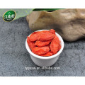 Chinesische Goji Beere Obst Goji Beeren zum Verkauf Goji Beeren Pflanzen zum Verkauf mit Jiangnanhao